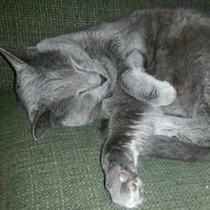 Meet your Posher, Sandra