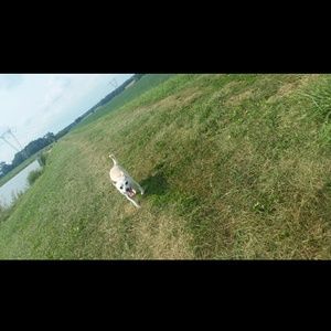 Meet your Posher, Ash