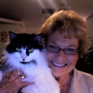 Meet your Posher, Joyce