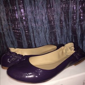 Purple Flats