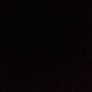 Meet your Posher, Violeta