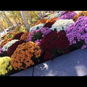 Meet your Posher, Nadia