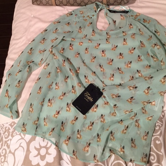Zara sheer top size Small, NWT! Mint green.
