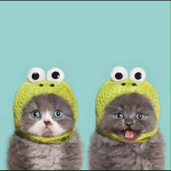 Meet your Posher, Brittanie