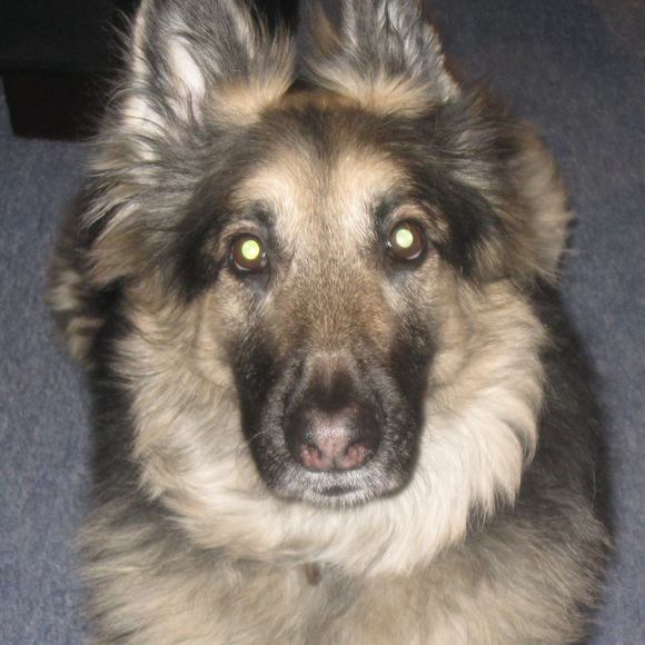 Meet your Posher, Janet