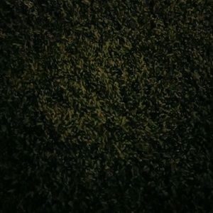 Meet your Posher, Eli