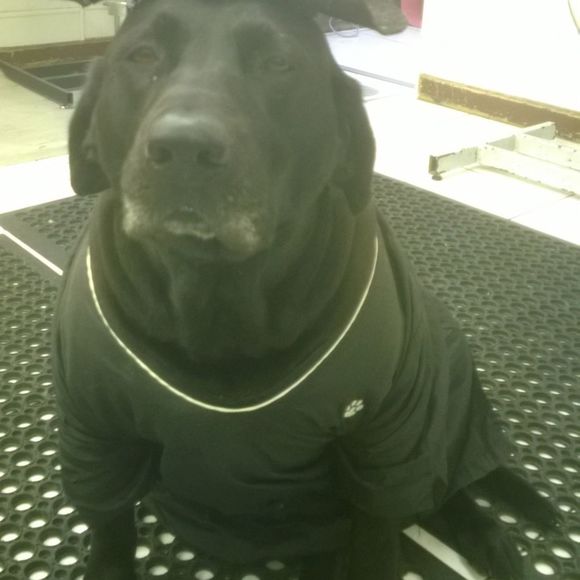 Meet your Posher, Karen - Picture 1 of 1