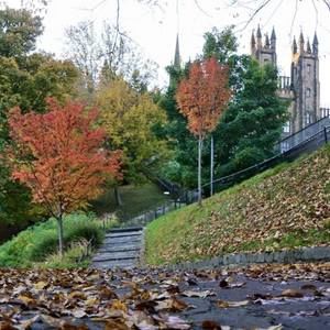 Meet your Posher, Holly