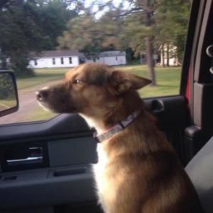 Meet your Posher, Nicole