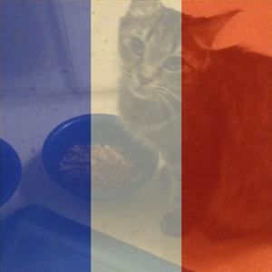 Meet your Posher, Anne