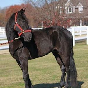 Meet your Posher, Scott