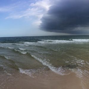 Meet your Posher, Karlee