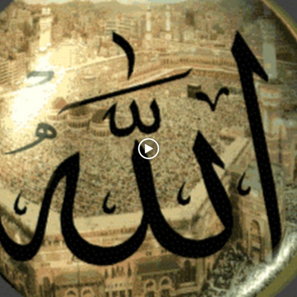 Meet your Posher, Bushra