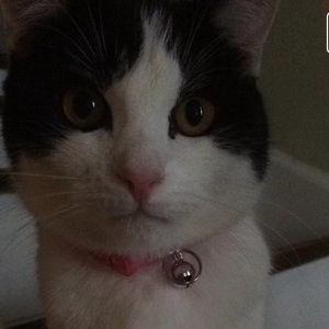 Meet your Posher, Audrey