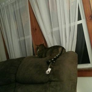 Meet your Posher, Glenda