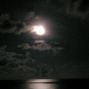 Meet your Posher, Dorene