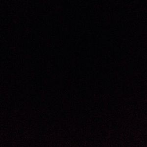 Meet your Posher, Callie