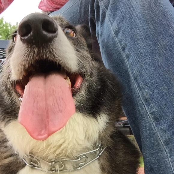 Meet your Posher, Joan - Picture 1 of 1