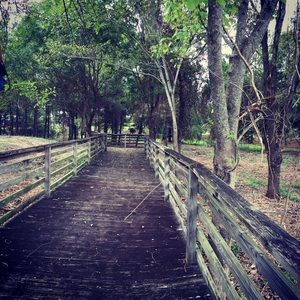 Meet your Posher, Armando