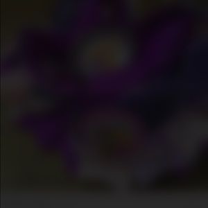 Meet your Posher, Griselda