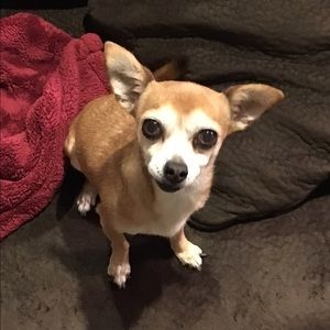 Meet your Posher, Krista