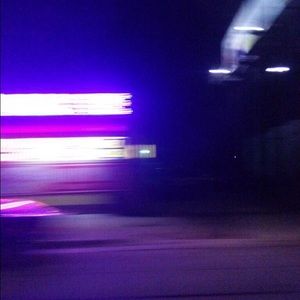 Meet your Posher, Molly