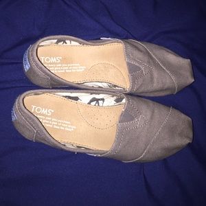 Grey Toms