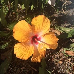 Meet your Posher, Johanna