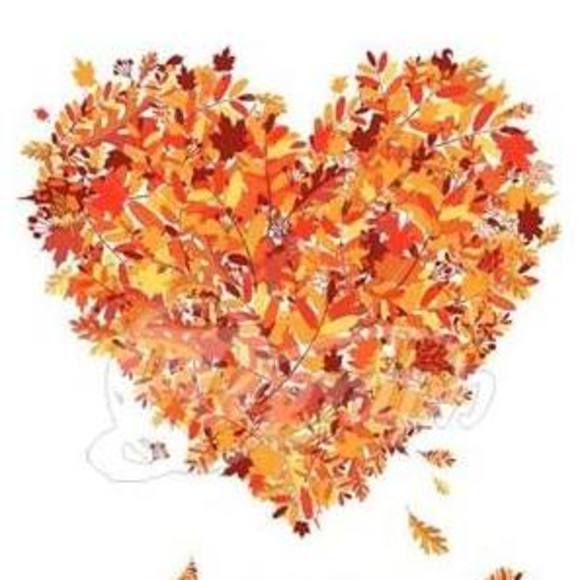 Meet your Posher, Missi - Picture 1 of 1