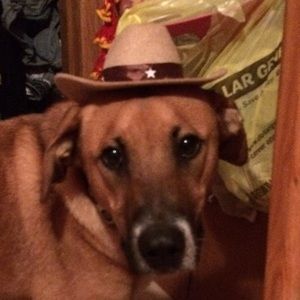 Meet your Posher, Paige