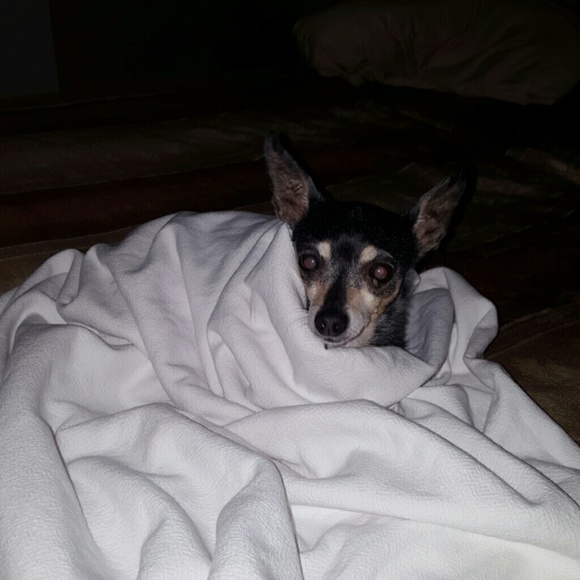 Meet your Posher, Mel - Picture 2 of 2