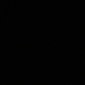 Meet your Posher, Bush