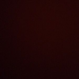 Meet your Posher, Ariana