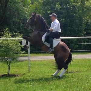 Meet your Posher, Javier