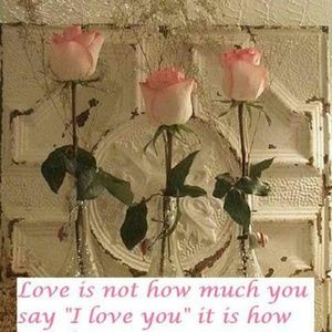 Meet your Posher, Melissia