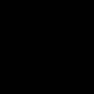 Meet your Posher, Natasha