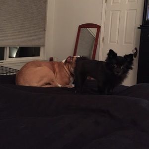 Meet your Posher, Victoria