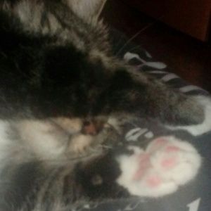 Meet your Posher, Sunmi