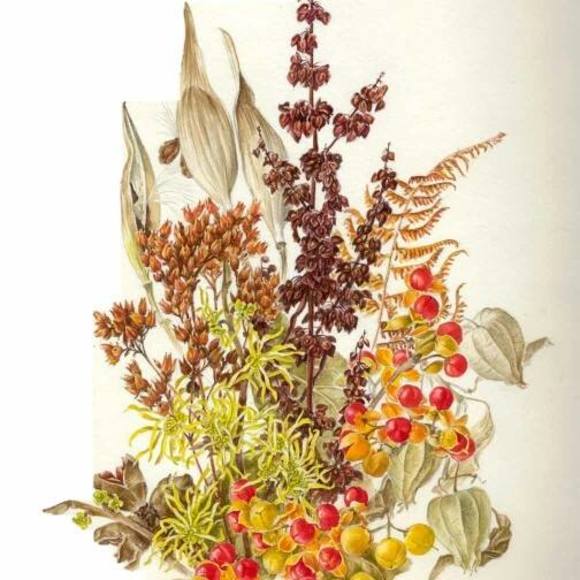 Meet your Posher, Cindy - Picture 1 of 1