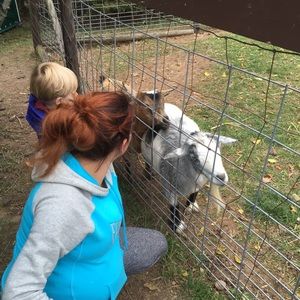 Meet your Posher, Brandy