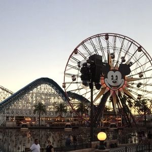 Meet your Posher, Peggy