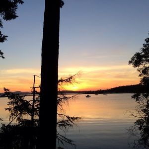 Meet your Posher, Jillian