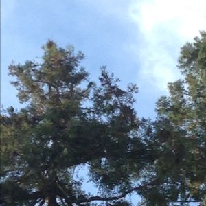 Meet your Posher, Bem