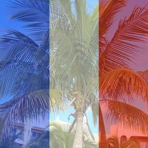 Meet your Posher, Lynne