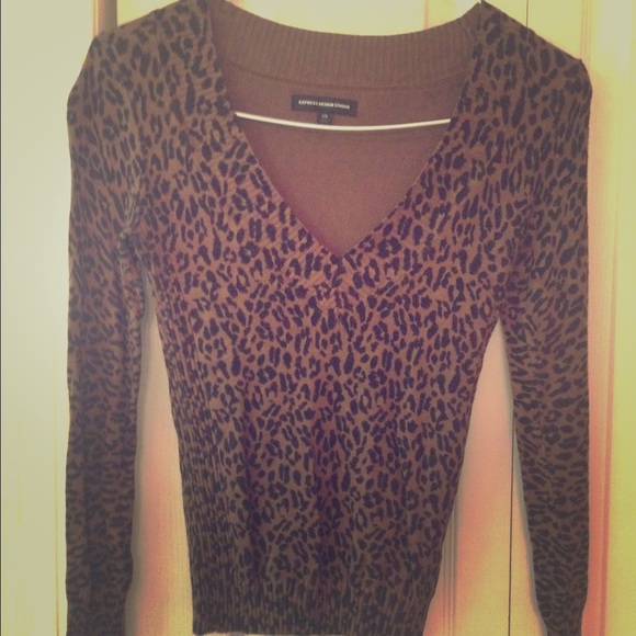 Express Cheetah Print Sweater