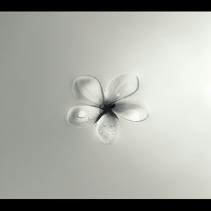 Meet your Posher, Melanie