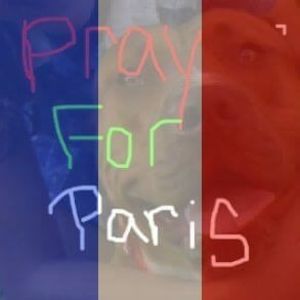 Meet your Posher, Campsie