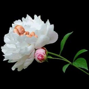 Meet your Posher, Rosa