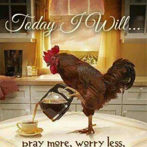 Meet your Posher, Mandi - Picture 1 of 1