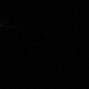 Meet your Posher, Jocelyn